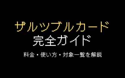 ザルツブルクカード完全ガイド！料金・使い方・使える場所一覧